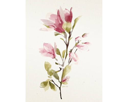 Impression d'art Magnolia I 18x24 cm