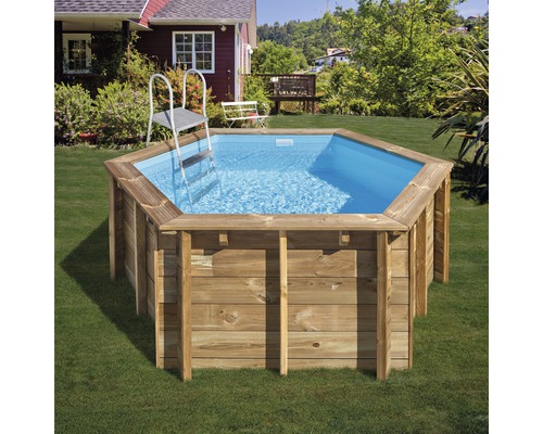 Piscine hexagonale en bois avec échelle dans le jardin