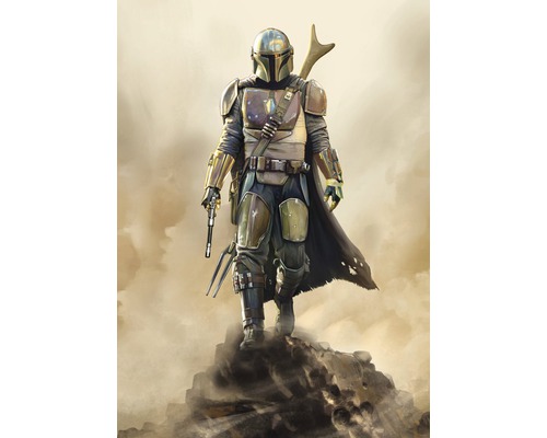 Papier peint panoramique intissé DX4-086 SW Mandalorian Hunter 4 pces 200 x 280 cm Image d''une figurine mandalorienne en armure sur un rocher