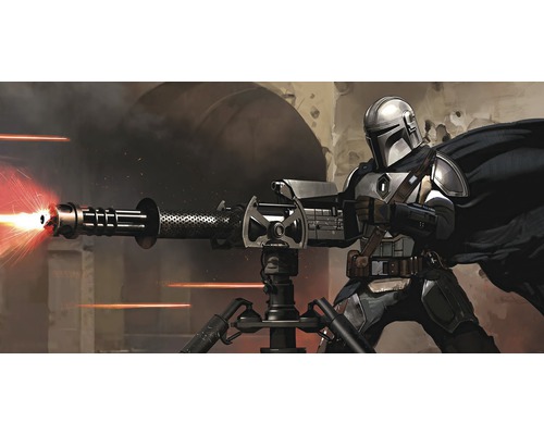 Fototapete Vlies DX10-088 Star Wars Mandalorian Blaster 10-tlg. 500 x 250 cm