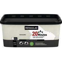 RENAULAC Wandfarbe Matt hellgrau 2,5 L