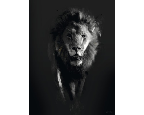 Impression d'art Lion Dark 18x24 cm