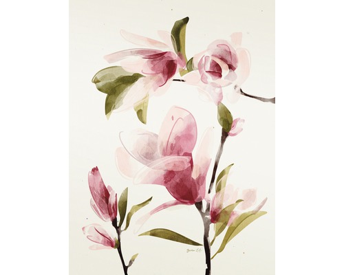 Kunstdruck Magnolia II 18x24 cm
