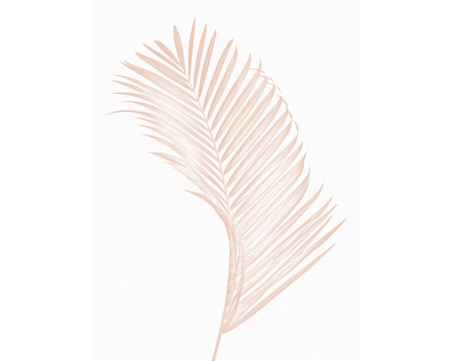 Kunstdruck Palm Leaf 18x24 cm
