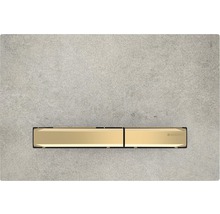 Plaque de déclenchement Geberit pour chasse d''eau de WC