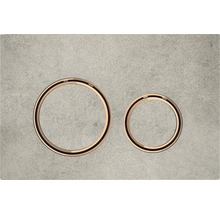 Zwei Toilettendeckelringe aus Holz und Kunststoff
