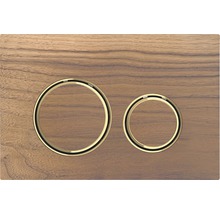Betätigungsplatte aus Holz mit zwei Spültasten