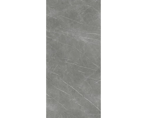 Graue Fliese mit Marmoroptik und polierter Oberfläche