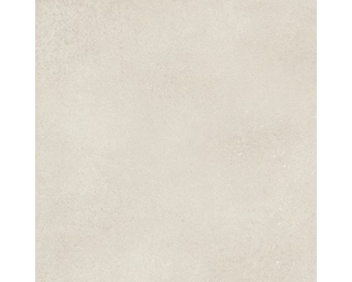 Feinsteinzeug Wand- und Bodenfliese Fresh Ivory Natural 60x60 cm