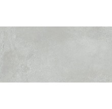 Carrelage sol et mur en grès cérame fin Fresh Ash Pulido 60x120 cm