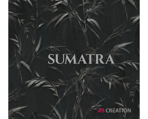 Catalogue de papiers peints Sumatra