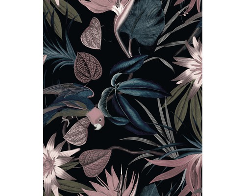 Papier peint intissé 113262 Parrot perroquet bleu Motif floral sombre avec oiseau et feuilles tropicales