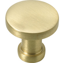 Bouton de meuble alu gold brossé ØxH 26/24 mm-thumb-0