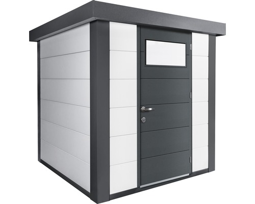 Abri de jardin avec porte et fenêtre