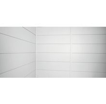 Innvenwand für Gartenhaus Classico 2724 270 x 240 cm grau