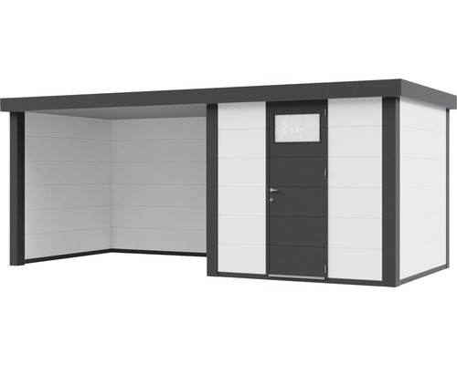 Abri de jardin avec annexe et porte