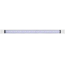 Éclairage LED pour aquarium
