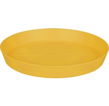 Gelber Untersetzer für Blumentöpfe