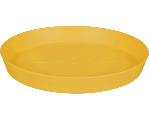 Gelber Untersetzer für Blumentöpfe