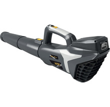 Akkubläser von Alpina