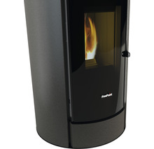 Poêle à pellets FreePoint Breeze acier titanium 9,1 kW