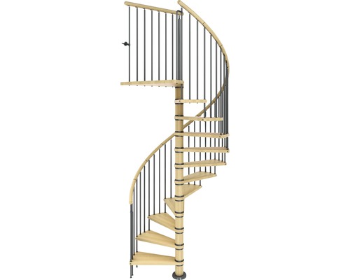 Pertura Spindeltreppe Galene Buche Leimholz Ø 120 cm Schwarz 11 Stufen 12 Steigungen Wendeltreppe aus Holz und Metall