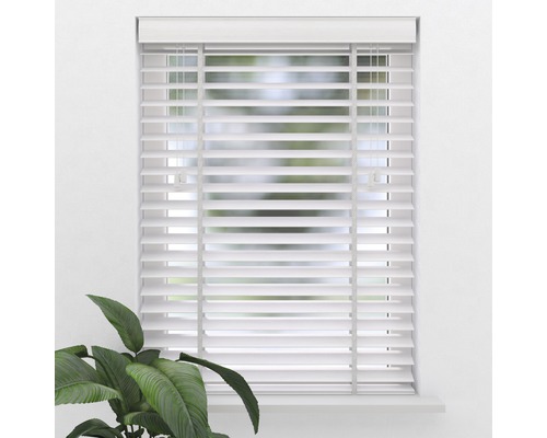 Fenster mit weißen Jalousien zur Lichtregulierung