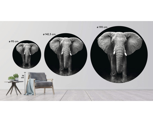 Wanddekoration mit Elefantenmotiv in drei verschiedenen Größen