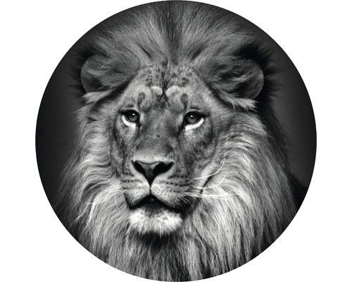 Papier peint panoramique intissé HRBC000002 Lion noir et blanc Ø 95 cm Portrait de lion Illustration