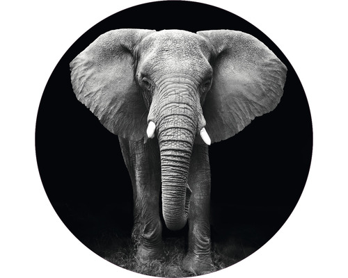 Papier peint panoramique intissé HRBC000006 Éléphant noir et blanc Ø 95 cm