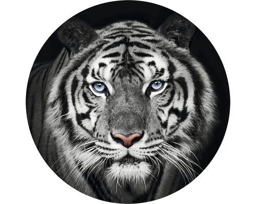 Papier peint panoramique intissé HRBC000010 Tigre noir et blanc Ø 95 cm Gros plan d''un tigre blanc