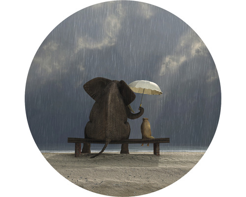 Papier peint panoramique intissé HRBC000016 Éléphant et chien 3 Ø 95 cm Illustration d''un éléphant et d''un suricate assis sous un parapluie sur un banc sous la pluie