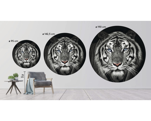 Sticker mural avec un visage de tigre en trois tailles différentes, présenté à titre de comparaison des tailles.