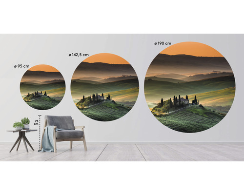 Trois décorations murales rondes représentant un paysage toscan de différentes tailles dans un salon.