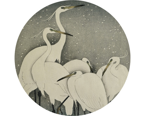 Papier peint panoramique intissé HRBC000043 Japon grues cendrées Ø 95 cm Illustration d''hérons