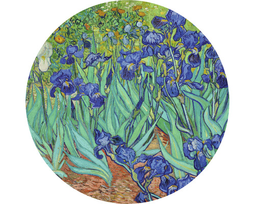 Papier peint panoramique intissé HRBC000051 Van Gogh Iris Ø 95 cm Peinture d''iris dans le jardin
