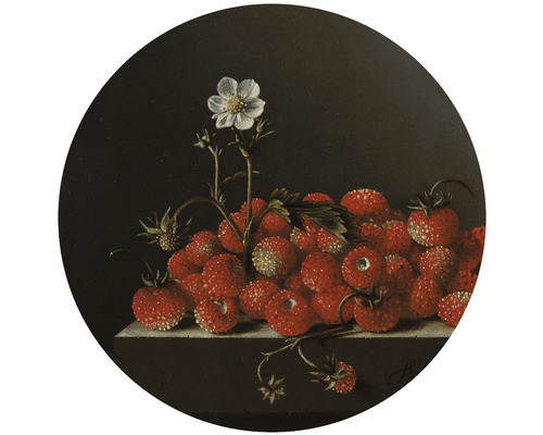 Papier peint panoramique intissé HRBC000053 Adriaen Coorte Nature morte aux fraises Ø 95 cm