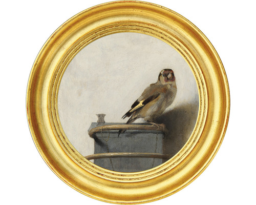 Papier peint panoramique intissé HRBC000054 Carel Fabritius Le Chardonneret 2 Ø 95 cm