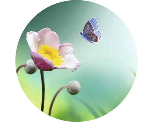 Papier peint panoramique intissé HRBC000061 Fleur avec papillon Ø 95 cm Fleur avec des bourgeons et un papillon