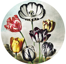 Papier peint panoramique intissé HRBC000077 Thornton tulipes Ø 95 cm-thumb-0