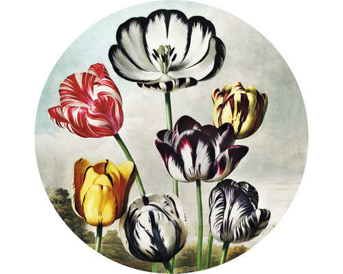 Papier peint panoramique intissé HRBC000077 Thornton tulipes Ø 95 cm Illustration de fleurs de tulipes avec différents motifs