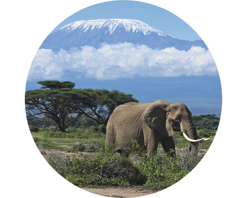 Papier peint panoramique intissé HRBC000082 Kilimanjaro Éléphant Ø 95 cm