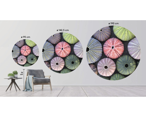 Illustration von runden Wandtattoos in drei verschiedenen Größen mit Seeigelmotiv im Wohnzimmer