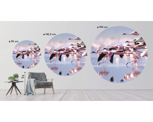 Fototapete mit Flamingos in drei verschiedenen Größen