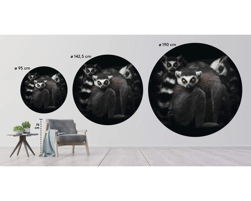 Trois décorations murales rondes avec un motif de lémurien de différentes tailles : 95 cm, 142,5 cm et 190 cm.