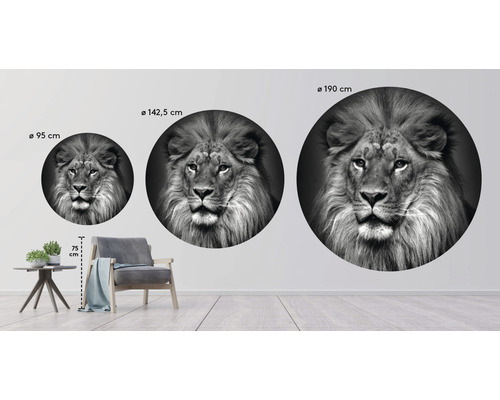 Wandaufkleber Löwe in drei verschiedenen Größen als Dekorationsbeispiel