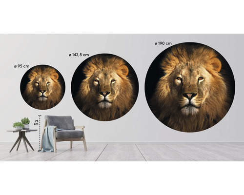 Stickers muraux décoratifs avec motif de lion en trois tailles différentes