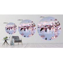 Papier peint panoramique intissé HRBC100003 Flamant rose Ø 142,5 cm