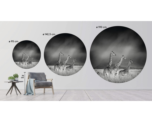 Drei runde Wandbilder mit Giraffenmotiven in verschiedenen Größen