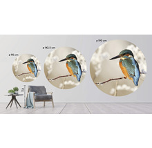 Fototapete Vlies HRBC100007 Eisvogel Ø 142,5 cm